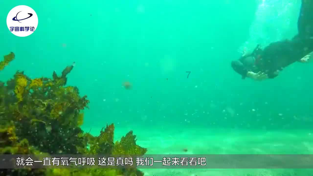 水果甜心经典版